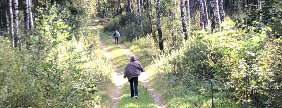 En stor skov med en sti i midten, hvor to mennesker går. Den ene langt foran den anden.